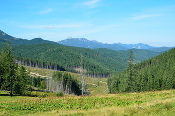 Summer view of the Carpathian Mountains.