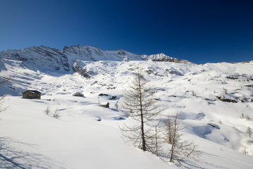 Fototapeta na wymiar Quiet alpine scene in winter