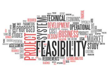 Word Cloud "Feasibility"