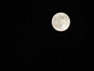 Luna piena © murasal