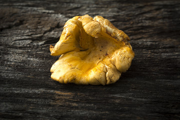 Chanterelle Mushroom  on Rustic Wood