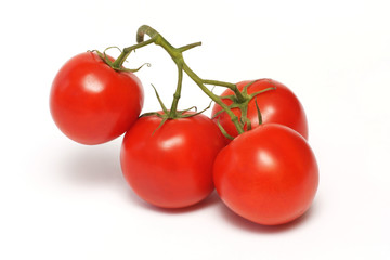 Tomato, vegetable on the branch
