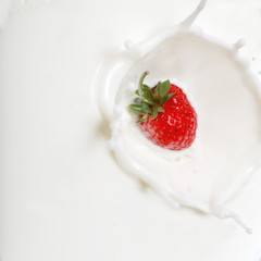 Strawberry dropping into milk