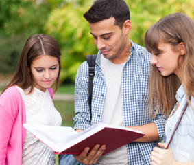 Students reading a book