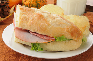 Hogie sandwich