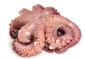 Pulpo © Sergio Martínez