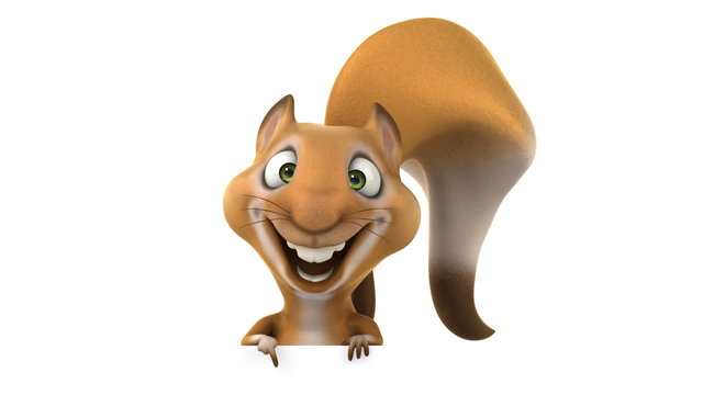 Squirrel