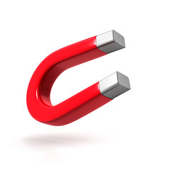 Hufeisenmagnet 2