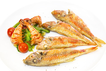 grilled fish with shrimp salad