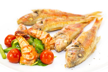 grilled fish with shrimp salad