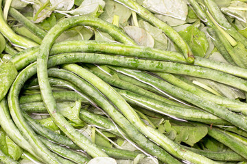 beans soaked in water