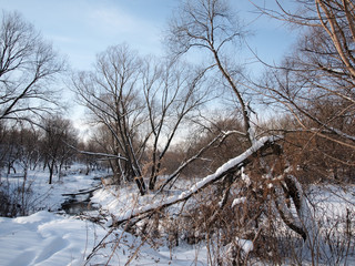 the small river