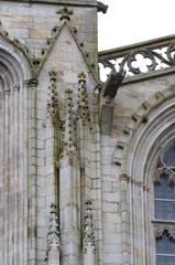 détail de la Cathédrale Saint-Corentin de Quimper