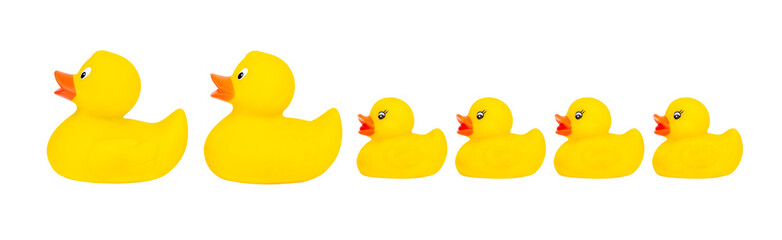 Entenfamilie