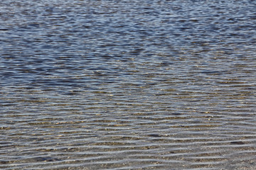clear water and calm