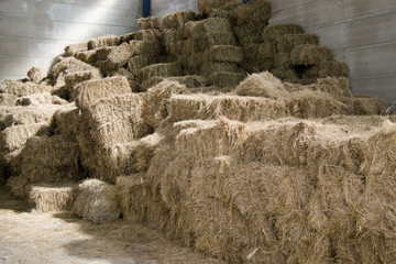 A huge hay stack in a barn