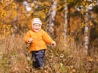 Little boy smiling with leaves in the autumn park