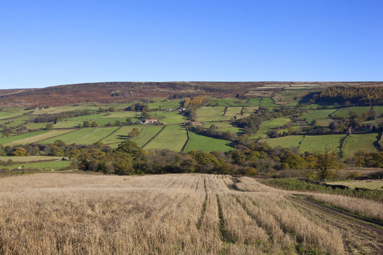 autumnal english landscape