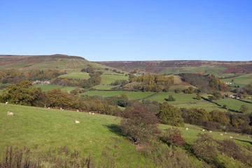 moorland landscape in autumn