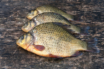 Live freshwater fish crucian on the old wooden board