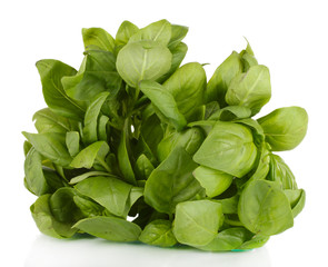 Green fresh basil isolated on white