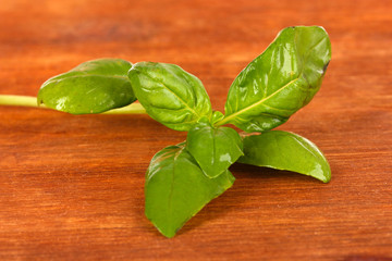 Green fresh basil on wooden background