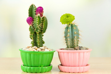 Cactuses in flowerpots with flowers, on wooden table