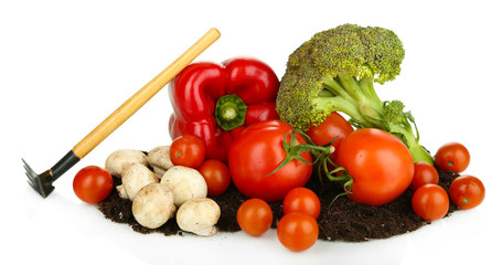 Vegetables on ground isolated on white