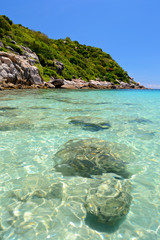 Fototapeta premium Tropical beach landscape