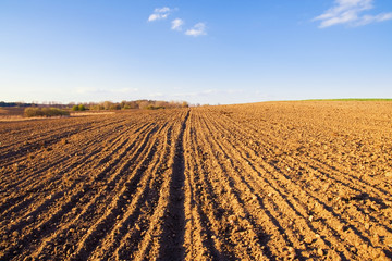 plowed field landscape