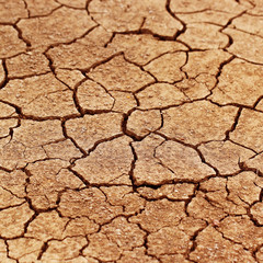 Dry cracked earth as background