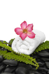 Obraz na płótnie Canvas towel with green fern and red flower on pebbles