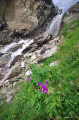 cascade - parc national de la vanoise