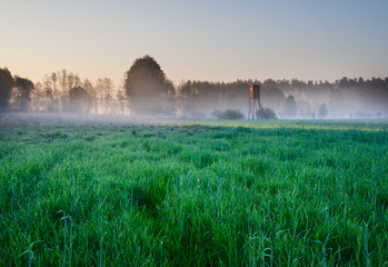 sunrise over foggy meadow