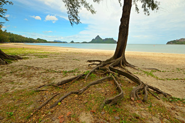 Tropical beach landscape