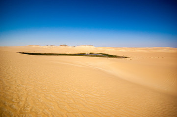 Fototapeta na wymiar Oasis w środku pustyni w Egipcie