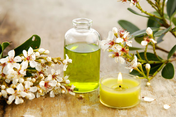 Fototapeta na wymiar spring flower, candle, massage oil, stones on mat