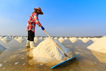 People working in the salt field