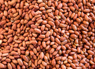 Peanut kernels