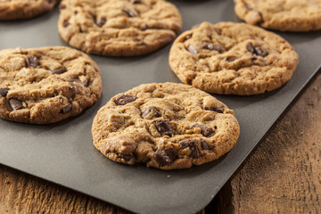 Homemade Chocolate Chip Cookies