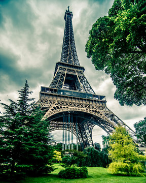 Fototapeta Eiffel Tower in HDR