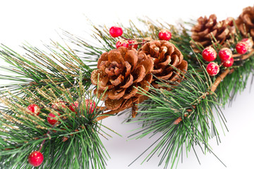 Christmas tree branch
