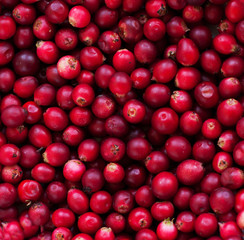 Background of Cranberry