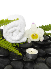 Obraz na płótnie Canvas gardenia kwiaty z zielonym paproci i rolki ręcznika