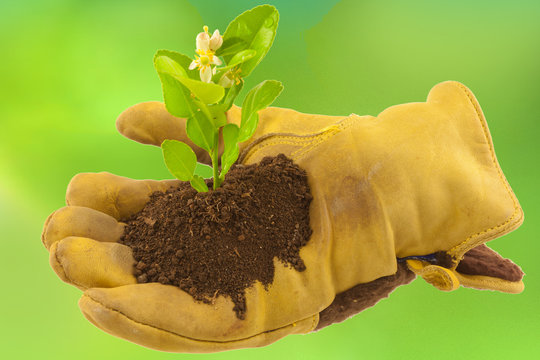 concept &eacute;cologie, protection de l'environnement