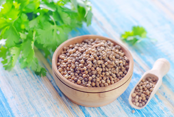 coriander