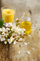 Fototapeta na wymiar Set of tropical spring flower and massage oil on board