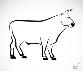 Vector image of an cow on