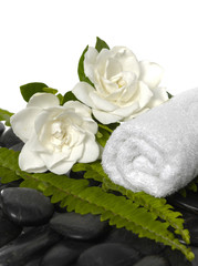 Obraz na płótnie Canvas ręcznik z zielonym paproci i gardenii kwiaty na czarnych kamieni