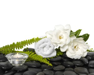 gardenia flowers with green fern and towel on black stones